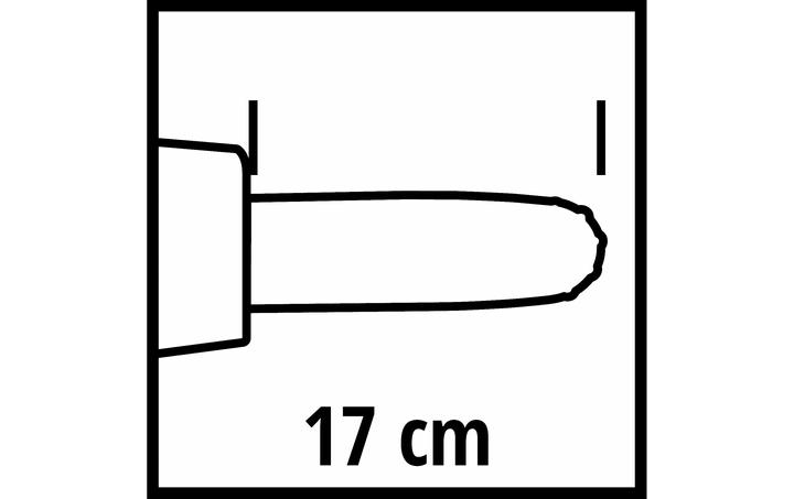 Image du produit Einhell Élagueuse sur batterie (Tronçonneuse à batterie)