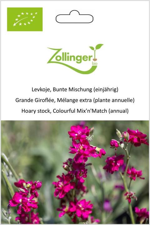 Produktbild Zollinger Bio Levkoje, Bunte Mischung (einjährig) (Blumenzwiebel)