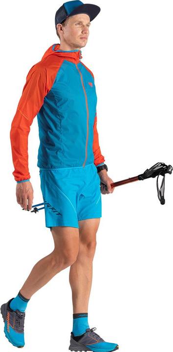 Actual product image Dynafit Alpine (44.5, 46.5)