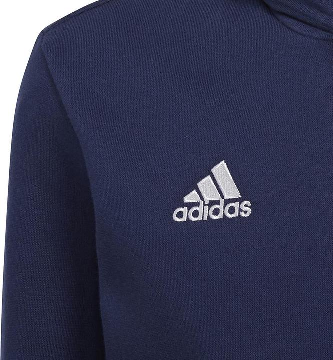 Actual product image adidas Entrada 22 hoodie kids (128)