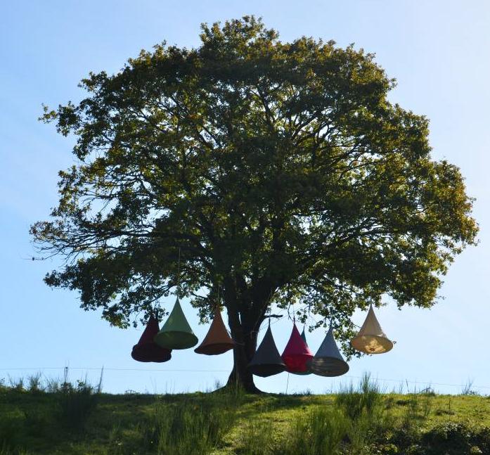 Image du produit Cacoon Bebo (200 kg)