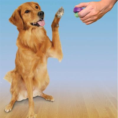 Image du produit PetSafe Clik-R™ Outil d'entraînement au clicker klikeris