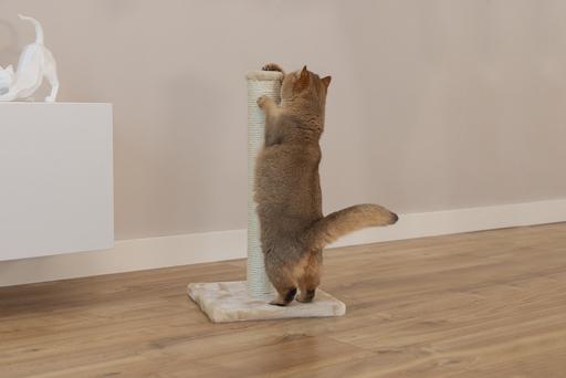 Immagine prodotto Beeztees Mobilier pour chats (60 cm, Beige)