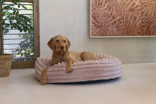 Produktbild Designed by Lotte Liegekissen Reza (Hund)