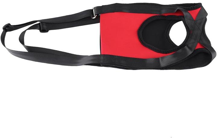 Actual product image Filfeel Hunde-Tragehilfe für Vorderbeine (M, Dog)