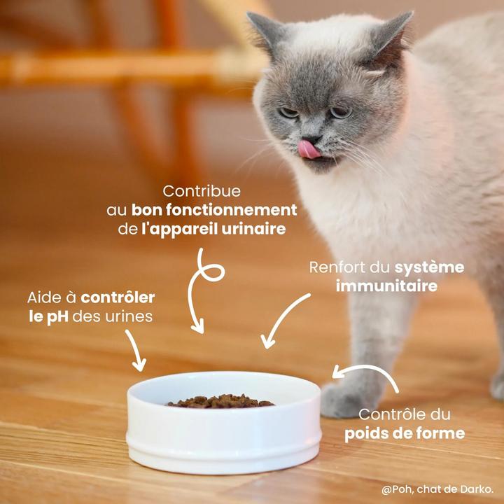 Produktbild Ultra Premium Direct Adult Cat Sterilised - Urinary (Senior, Adult, 1 Stk., 5000 g)