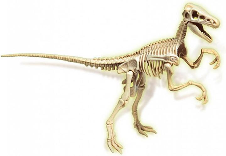 Image du produit Clementoni Set d'excavation Velociraptor