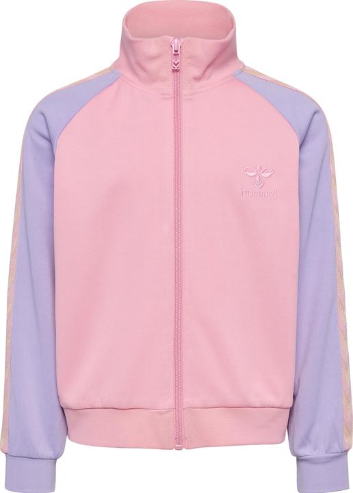 Image du produit hummel hmlDAILY ZIP JACKET (104)