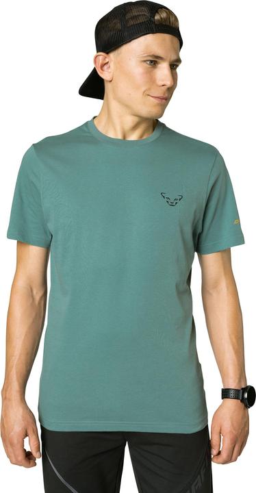Actual product image Dynafit 24/7 Graphic T-Shirt (XL)