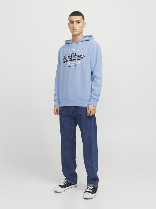 Actual product image Jack & Jones JJELOGO SWEAT HOOD 2 COL 24/25 NOOS (XS)