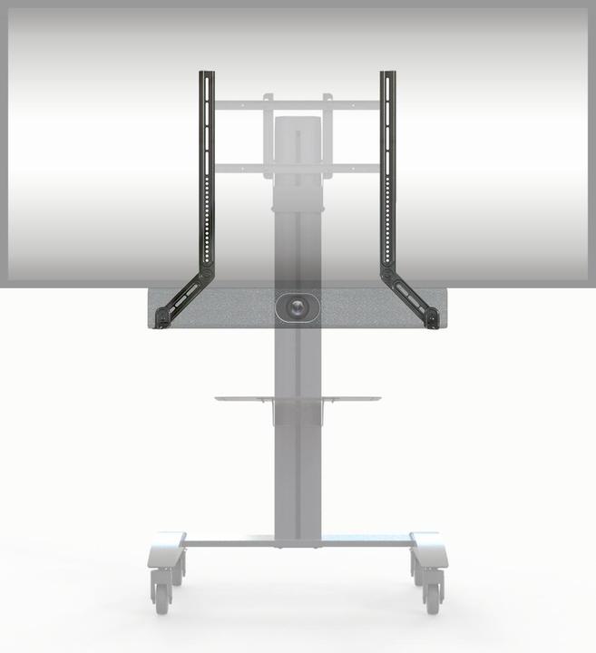 Actual product image Peerless ACC-SB2 (1 pcs., Wall installation, Pivoting, Tiltable)