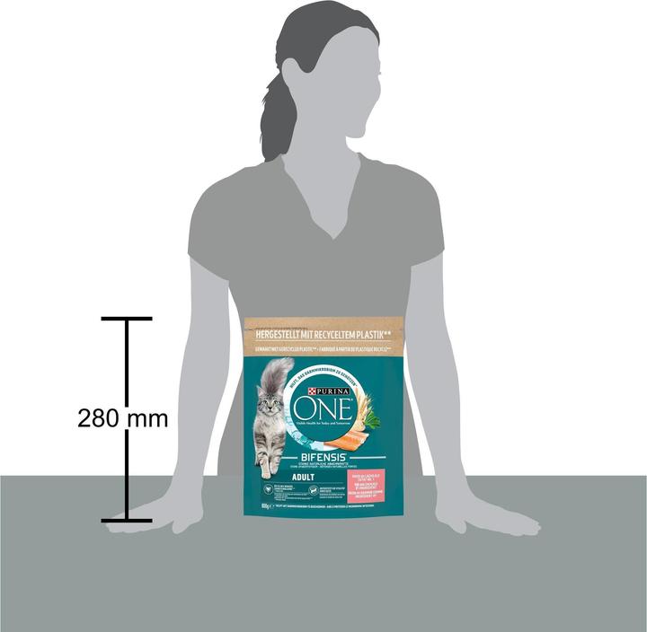 Actual product image Purina ONE Salmon and Wholemeal (Adult, 1 pcs., 800 g)