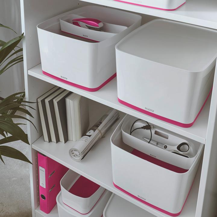Immagine prodotto Leitz MyBox Large con coperchio (31,8 x 19,8 x 38,5 cm, 18 l)