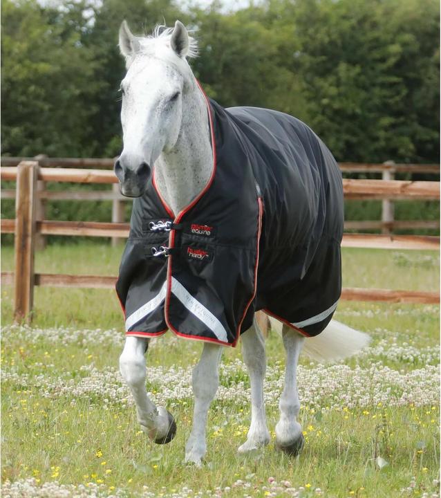 Produktbild Premier Equine Buster Hardy 100 g (213 cm)