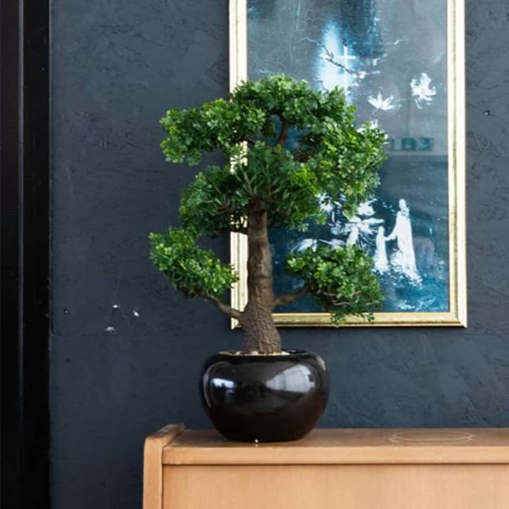 Produktbild Emerald Kunstpflanze (47 cm)