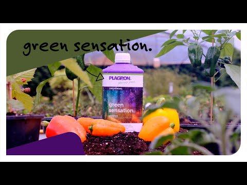Produktbild Plagron Green Sensation (4.95 kg, 5 l)