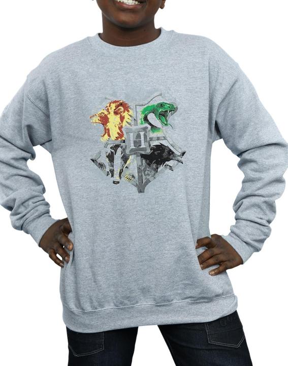 Actual product image Boys Hogwarts Painted Crest Sweatshirt (152, 158)