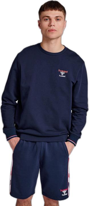 Actual product image hummel Ic Dayton Sweatshirt (S)