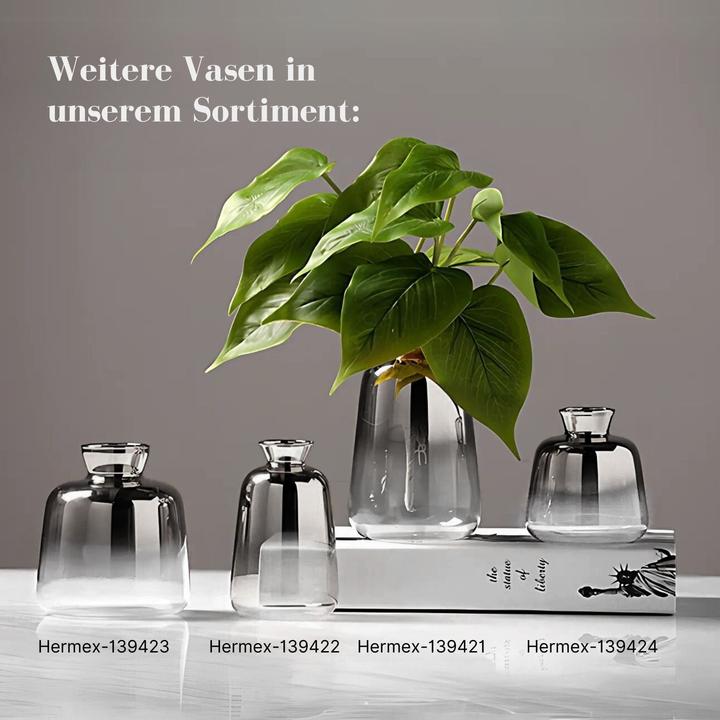 Image du produit Hermex Tischvase Blumenvase Ziervase Glasvase Dekovase Designvase (1 x)
