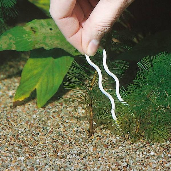 Produktbild JBL Aquaristik und Terraristik Plantis, 12 Stk. Pflanzennadeln (Aquarium Pflanzenpflege)