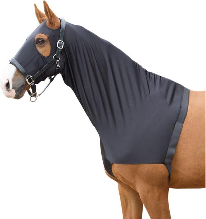 Actual product image Harry's Horse Shoulder protector for horse with elastic neck cover