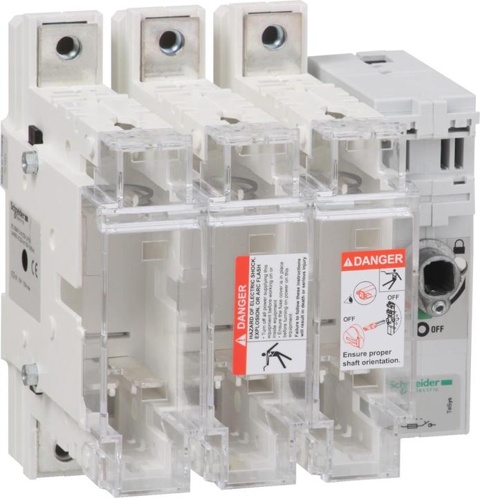 Actual product image Schneider Electric FUSE SWITCH 3X 250A 1