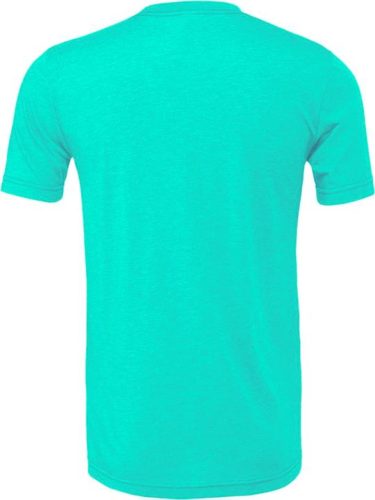 Actual product image Bella Canvas Cvc Tshirt Adult (M)