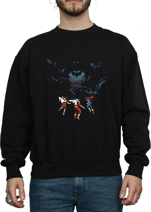 Produktbild Batman Shadow Bats Sweatshirt (S)