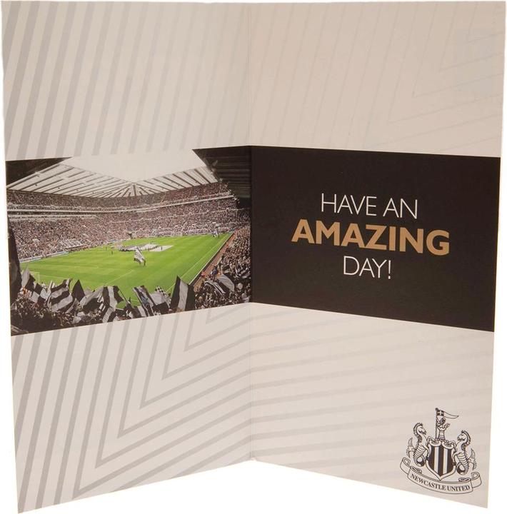 Actual product image Newcastle United FC Personalised Birthday Card With Stickers (1 x)