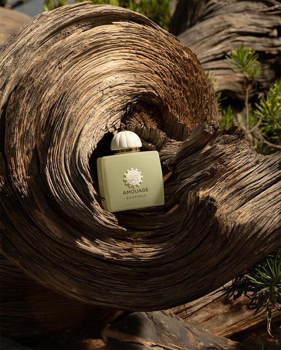 Produktbild Amouage Odyssey Existence Eau de Parfum (Eau de Parfum, 100 ml)