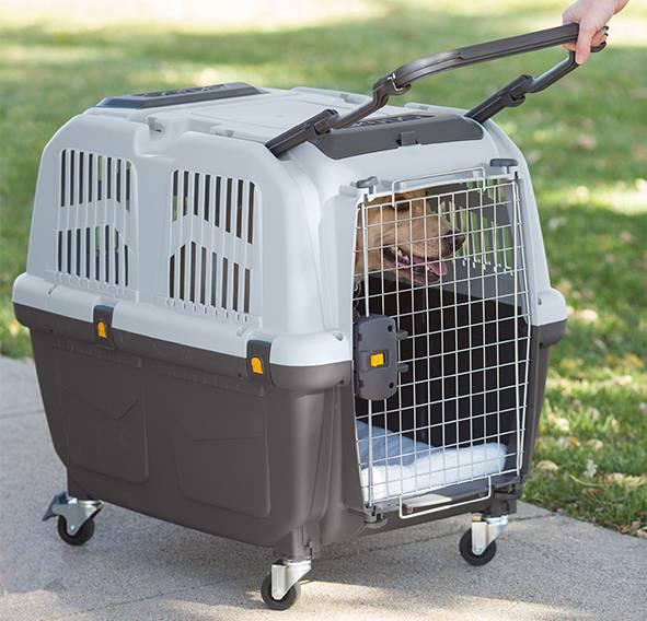 Produktbild Skudo 7 Iata (Hund, Sicherheitsverschluss)