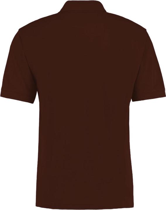 Image du produit Kustom Kit Polo classique en superlain (3XL)