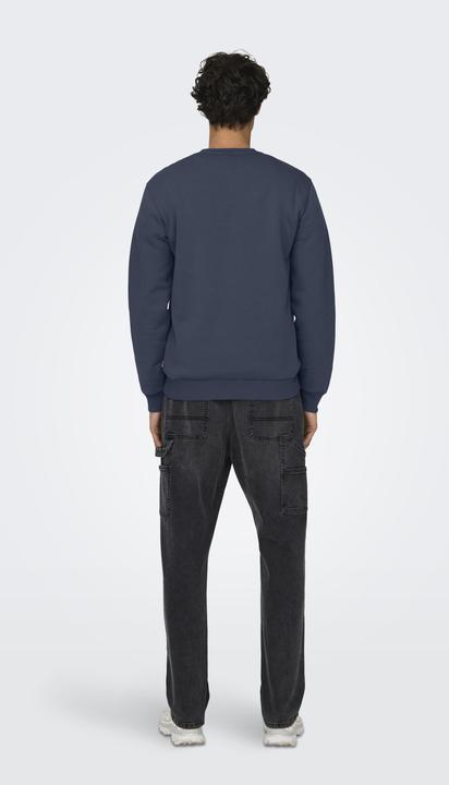 Image du produit Only & Sons Onsceres Crew Neck Noos (M)