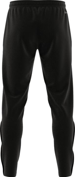 Actual product image adidas Entrada 22 Training Pants HC0332 Czarne M (M)