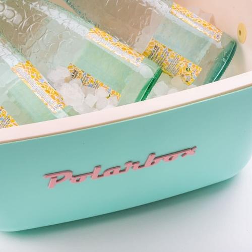 Image du produit Polarbox Rétro (12 l)