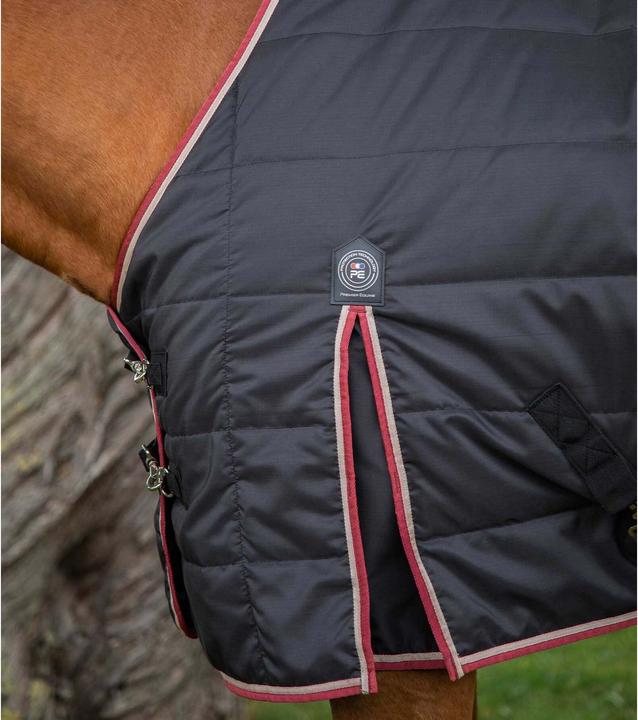 Image du produit Premier Equine Garissa 100 g (160 cm)