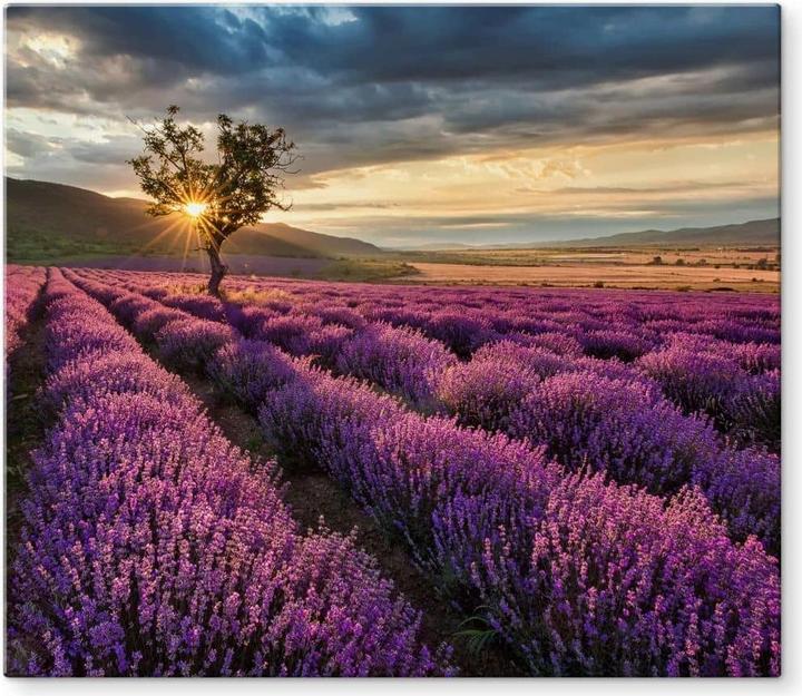 Produktbild Trenddeko Lavendelblüte in der Provence
