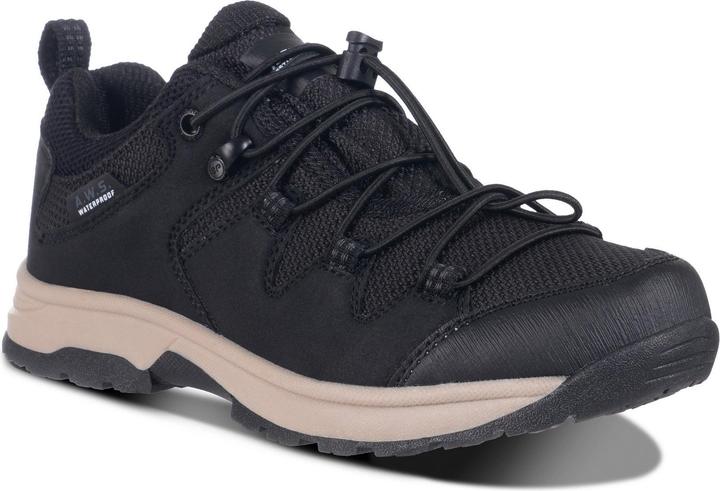 Icepeak Ahola JR