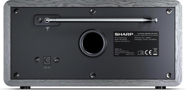 Actual product image Sharp DR-450GR (DAB, DAB+, FM, Bluetooth)