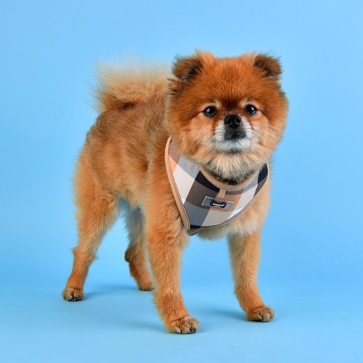 Produktbild Puppia Quinn Brustgeschirr A (L, Hund, Spazieren)
