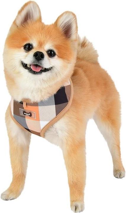 Produktbild Puppia Quinn Brustgeschirr A (L, Hund, Spazieren)