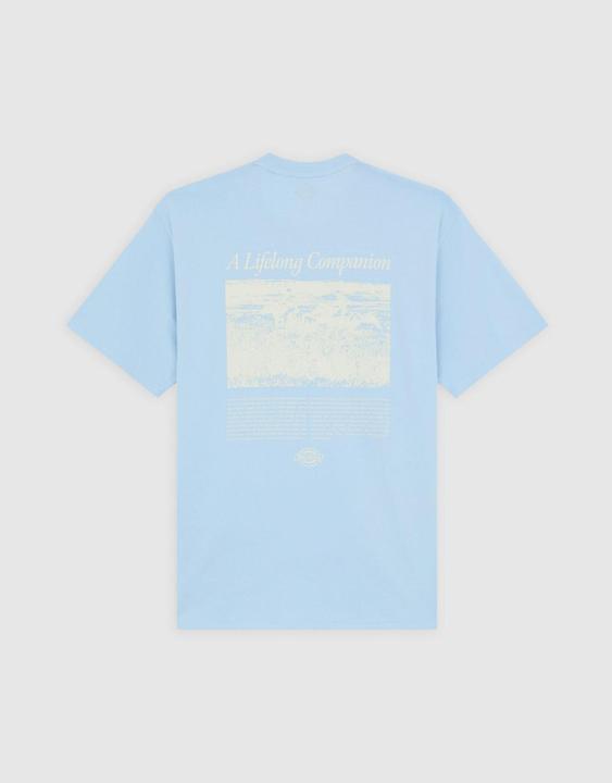 Immagine prodotto Dickies Companion Script Ss Tee Skyway (L)