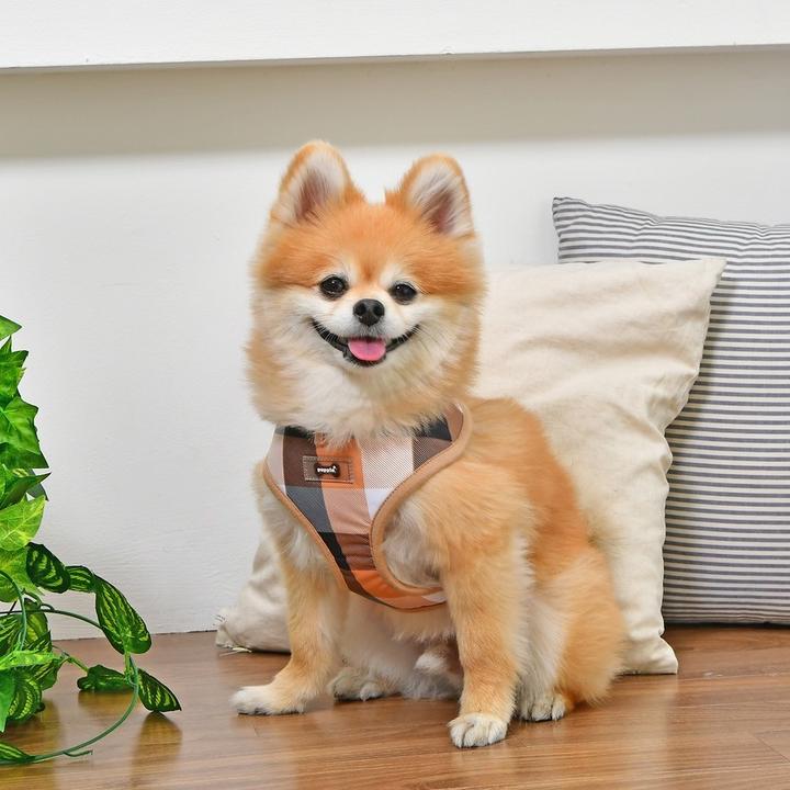Produktbild Puppia Quinn Brustgeschirr A (L, Hund, Spazieren)