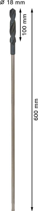 Immagine prodotto Bosch Professional Zubehör Punta per installazione PRO Wood HSS, 18 x 100 x 600 mm (18 mm)