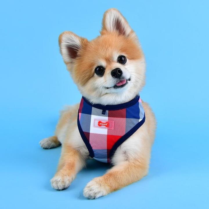 Actual product image Puppia Quinn Chest Harness A (S, Dog, Walks)