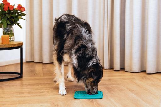 Immagine prodotto Beeztees Tappetino da leccarsi i baffi (Cane da snack)