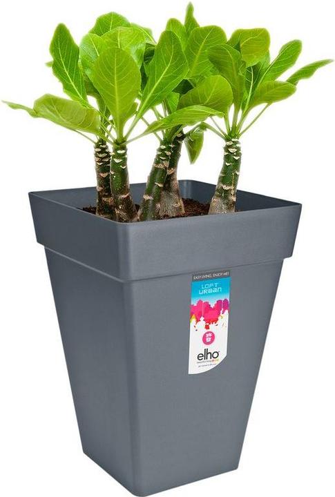 Immagine prodotto Elho Loft urbano (29.30 cm)
