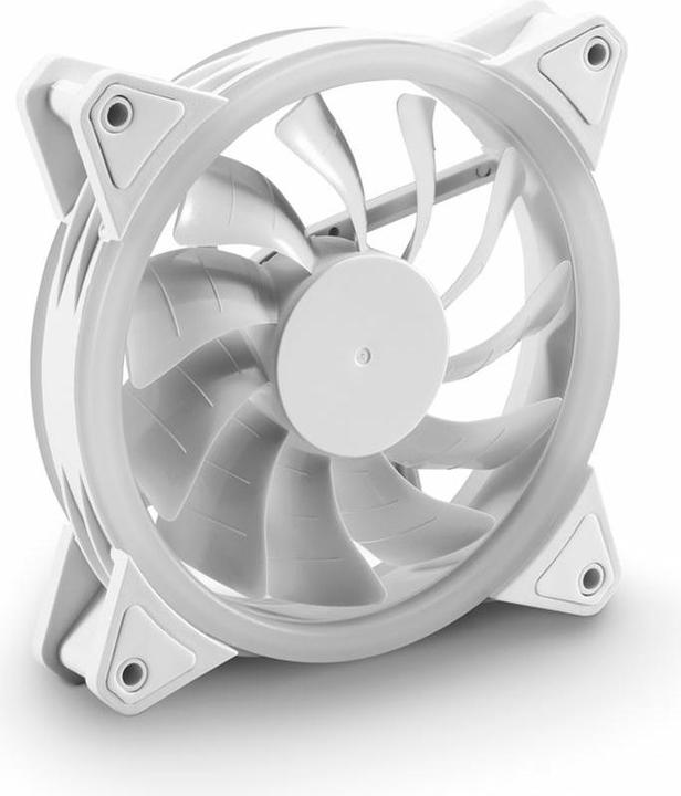 Image du produit Sharkoon SHARK Blades PWM RGB Fan Blanc (120 mm, 1 x)