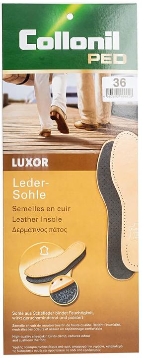 Image du produit Collonil Femmes Luxor