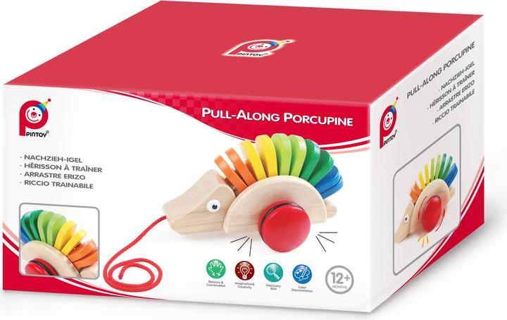 Actual product image Pintoy Pull-along hedgehog